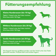 Lade das Bild in den Galerie-Viewer, Vitamin-B-Komplex-Kapseln für Hunde