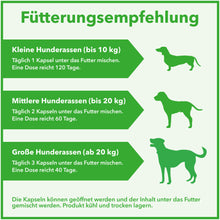 Lade das Bild in den Galerie-Viewer, Grünlippmuschel-Kapseln mit Vitaminen für Hunde
